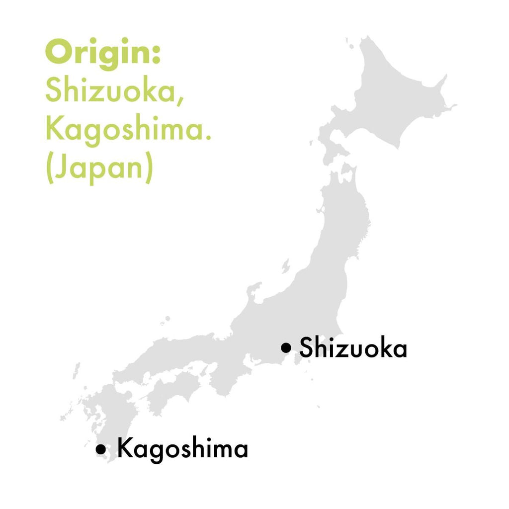 Japan Ceremonial Matcha BIO - Barattolo 30 gr.